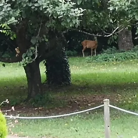 Alojamento de Acomodação e Pequeno-almoço Le Petit Plessis Ruaudin