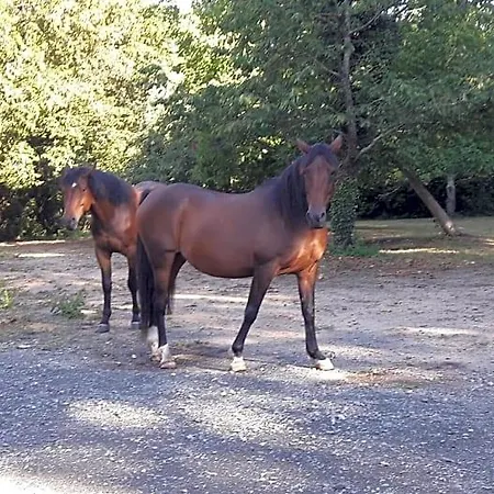 Le Petit Plessis 3* Ruaudin
