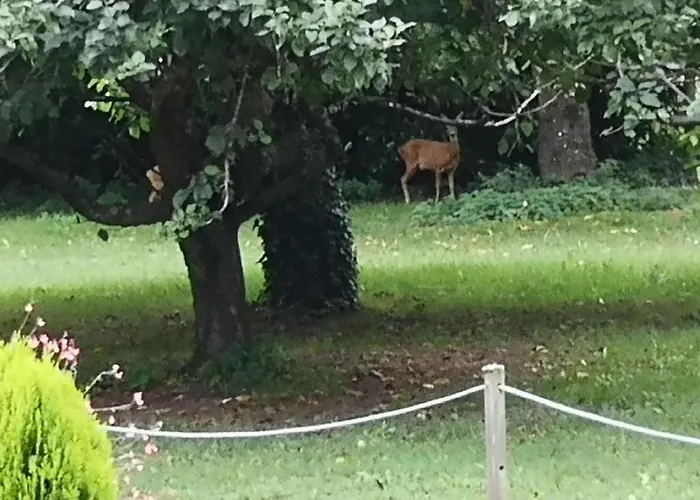 לינה וארוחת בוקר Le Petit Plessis Ruaudin