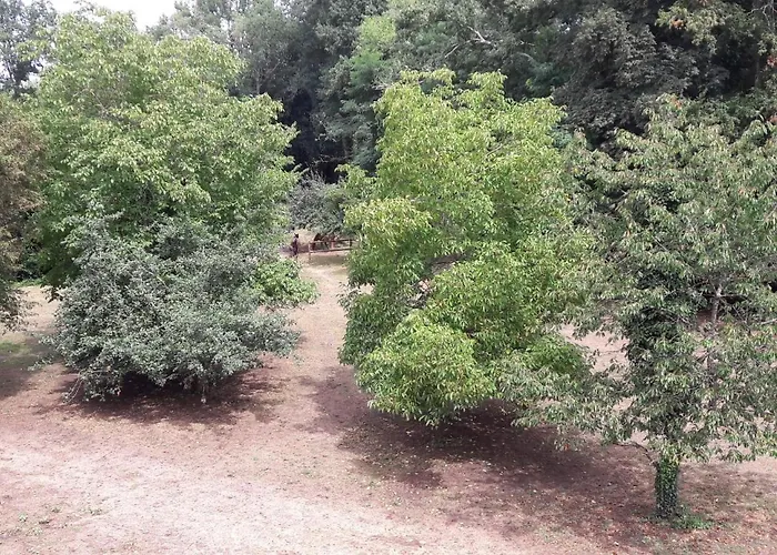 לינה וארוחת בוקר Le Petit Plessis Ruaudin